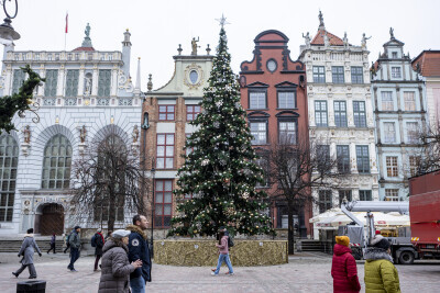 Na Długim Targu stanęła choinka