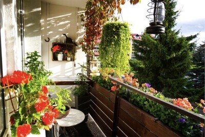 Najpiękniejszy gdański balkon i przedogródek