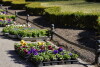 Nasadzenia kwiatków w Parku Oliwskim