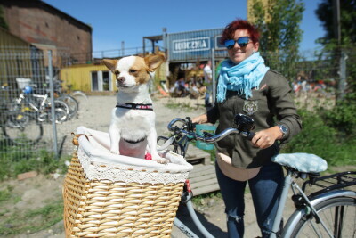 Obchody Dnia Różnorodności