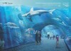 Oceanarium