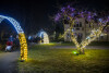 Odpalamy Święta! Iluminacje w Parku Oliwskim