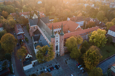 Oliwa o wschodzie słońca