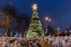 Orunia - Św. Wojciech - Lipce. Uroczyste rozświetlenie choinki i dzielnicowy jarmark
