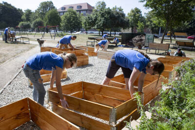 Ożywianie ul. Ogarnej i okolic