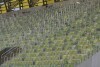 PGE Arena - murawa ułożona!