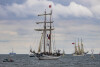 Parada Baltic Sail 