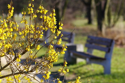 Park Milenium w dzielnicy Zaspa