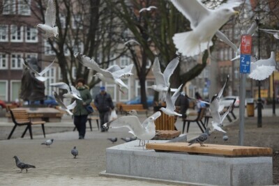 Park Świętopełka po rewitalizacji