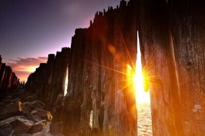 Pierwsza wystawa fotograficzna Katarzyny Figury