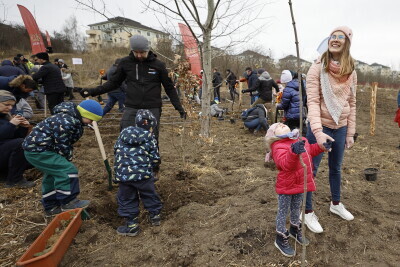 Powitanie wiosny w Gdańsku, sadzenie pierwszego miejskiego mikrolasu