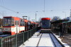 Pożegnanie legendarnych stopiątek - ostatnich tramwajów wysokopodłogowych w gdańskiej flocie. 