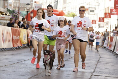 Prolog Charytatywny Goń Św. Dominika.