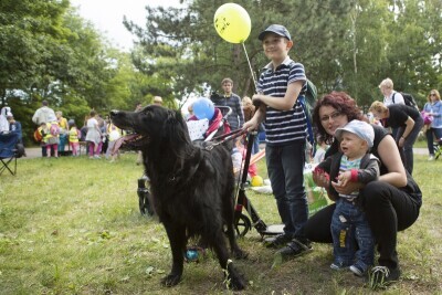 Psim tropem, czyli Dzień Psa po gdańsku