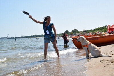 Psie ratownictwo w Gdańsku Brzeźnie