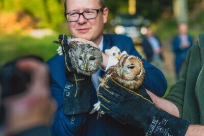 Puszczyki wróciły do lasu