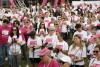 Race For The Cure 