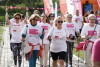 Race For The Cure 