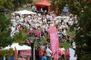 Race for the Cure