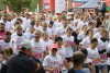 Race for the Cure