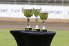 Reall Tiger European Team Speedway Championship Grand Final
