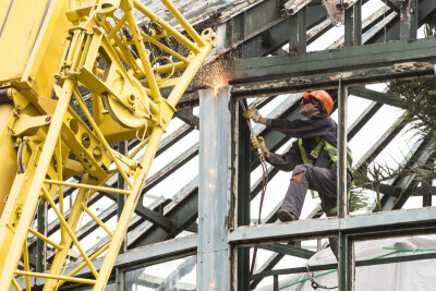 Rozbiórka palmiarni w Parku Oliwskim