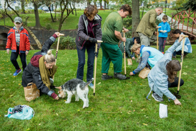 Sadzenia cebulek kwiatowych