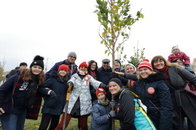 Sadzenie 101 Drzew Wiśni