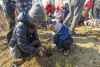 Sadzenie VI Miejskiego Mikrolasu w dzielnicy Jasień przy ul. Stolema
