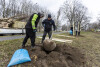 Sadzenie drzew na Żabiance