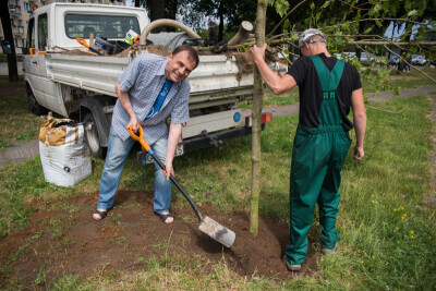 Sadzenie drzew w Gaju Ojców