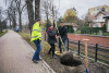 Sadzenie kasztanowców przy Kanale Raduni