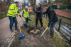 Sadzenie kasztanowców przy Kanale Raduni