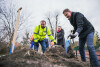 Sadzenie kasztanowców przy Kanale Raduni