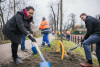 Sadzenie kasztanowców przy Kanale Raduni