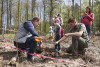 Sadzenie lasu w okolicach Niedźwiednika