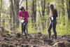 Sadzenie lasu w okolicach Niedźwiednika