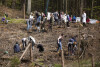 Sadzenie lasu w okolicach Niedźwiednika