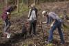Sadzenie lasu w okolicach Niedźwiednika