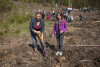 Sadzenie lasu w okolicach Niedźwiednika