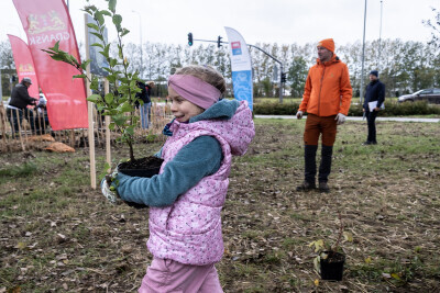 Sadzenie mikrolasu w Kokoszkach