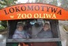 Seniorzy odwiedzili oliwskie zoo