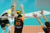 Siatkówka Lotos Trefl Gdańsk - Jarzębski Węgiel
