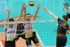 Siatkówka Lotos Trefl Gdańsk - Jarzębski Węgiel