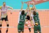 Siatkówka Lotos Trefl - AZS Indykpol Olsztyn