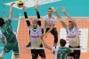 Siatkówka Lotos Trefl - AZS Indykpol Olsztyn