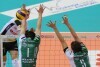 Siatkówka Lotos Trefl - AZS Indykpol Olsztyn