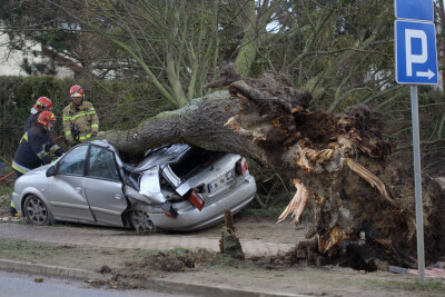  Skutki Wichury w Gdańsku
