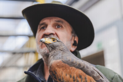 Sokolnik w zajezdni Wrzeszcz