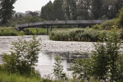 Spacer z prezydent Gdańska Aleksandrą Dulkiewicz w Dzielnicy Olszynka